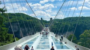 11D10N  In Changsa + Zhangjiajie + Out Chongqing