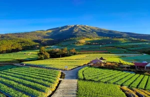 WISATA TAWANGMANGU – MAGELANG ADVENTURE