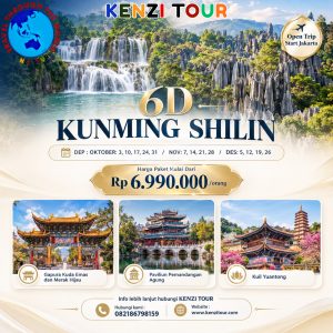 6D KUNMING SHILIN