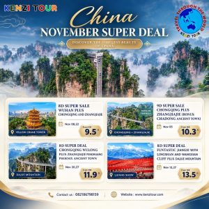 CHINA NOVEMBER
